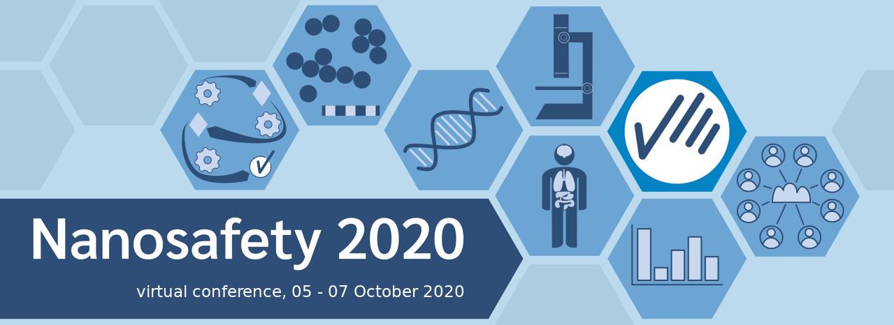 Nanosafety 2020